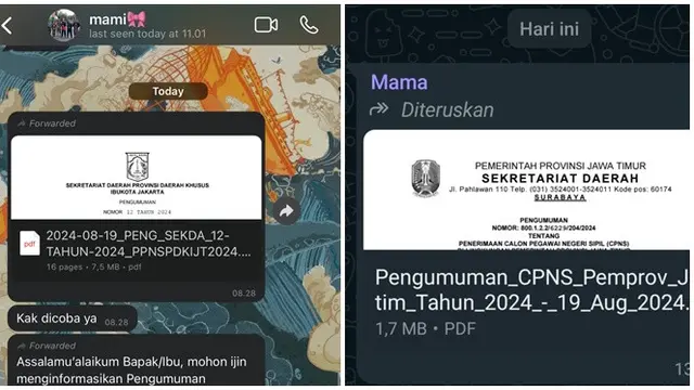 6 Chat Ibu Kirim Pengumuman CPNS Ini Bikin Senyum Tipis, Diingatkan Tiap Hari - Hot berita69.org