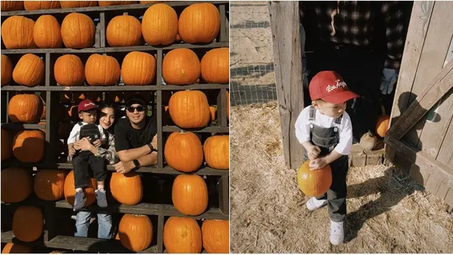 6 Potret Nikita Willy Ajak Baby Issa ke Ladang Labu Amerika, Panen Jelang Halloween - Hot berita69.org