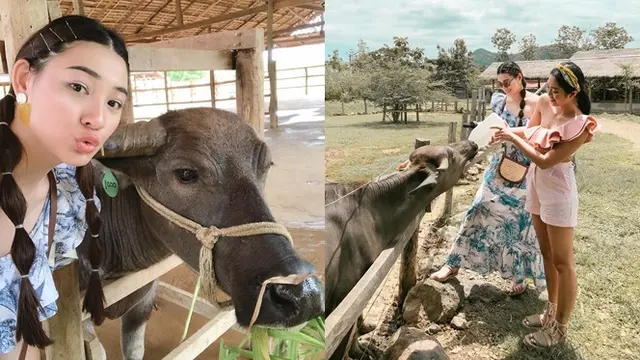 7 Potret Liburan Patricia Devina ke Laos, Enggak Takut Mandikan Kerbau - Hot berita69.org