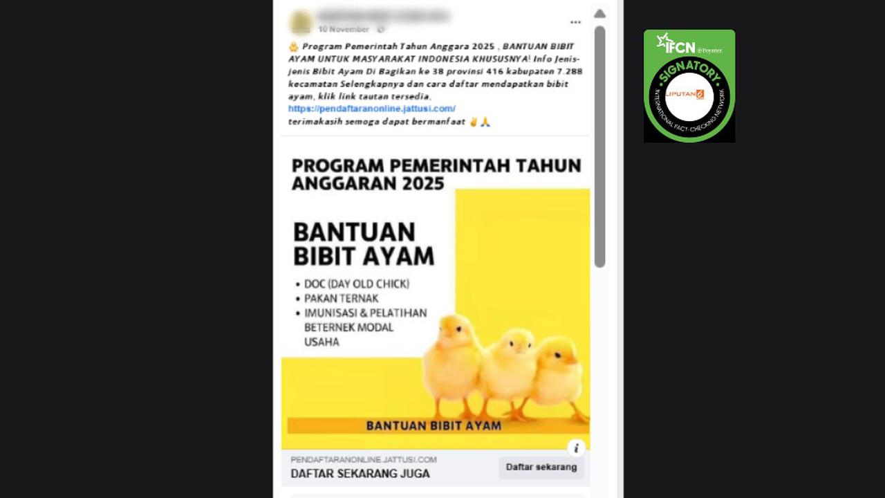 Cek Fakta: Tidak Benar Link Pendaftaran untuk Mendapatkan Bantuan Bibit Ayam