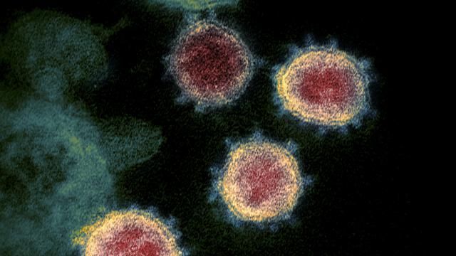Cek Fakta: Tidak Benar Pasien di RS Akibat Influenza A Diisolasi Seperti Covid-19 - Cek Fakta berita69.org