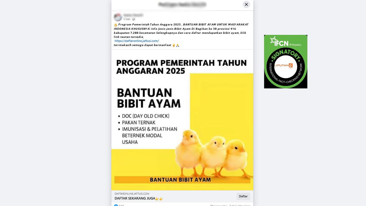Cek Fakta: Tidak Benar Tautan Pendaftaran Bantuan Bibit Ayam Tahun Anggaran 2025