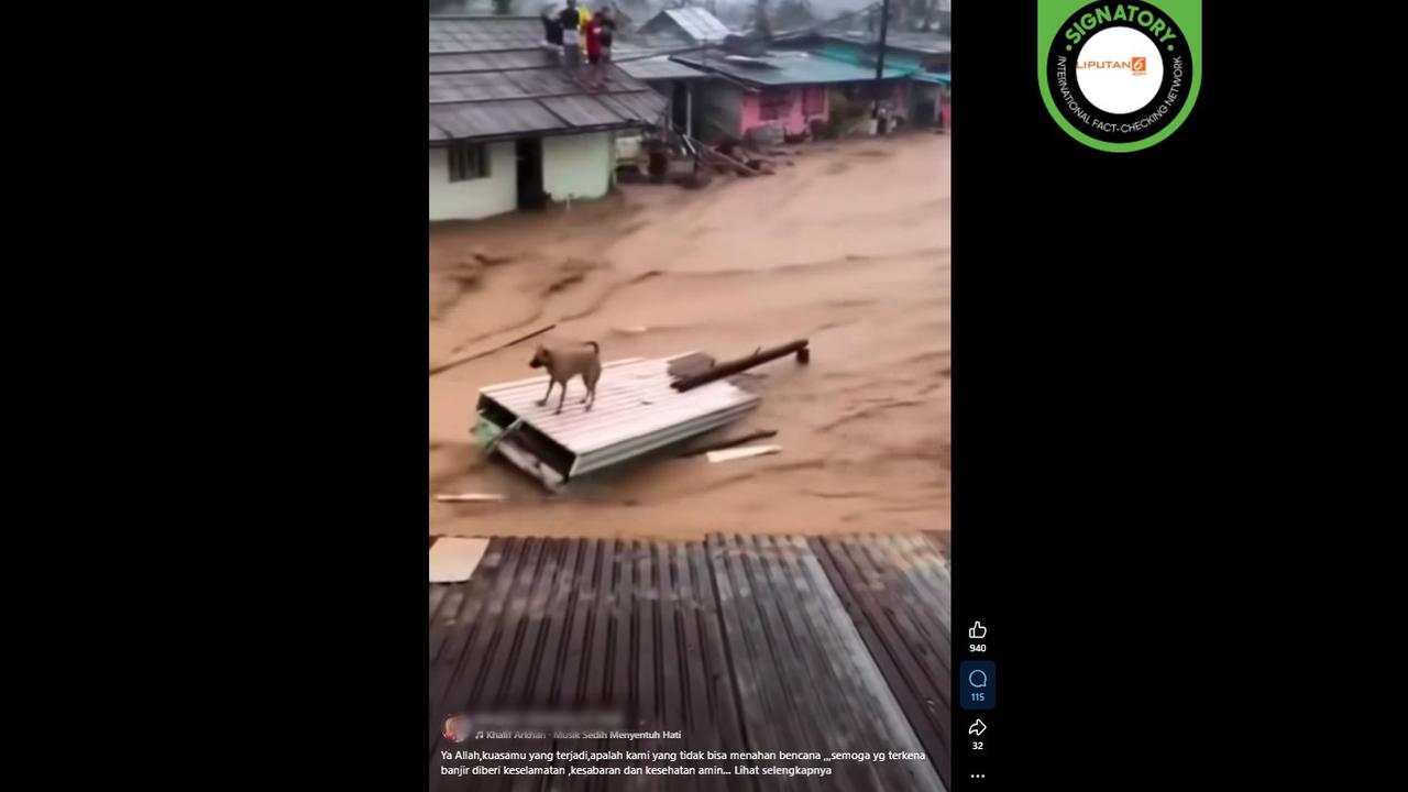Cek Fakta: Video Anjing dan Sapi Hanyut Terseret Banjir Ini Hasil AI