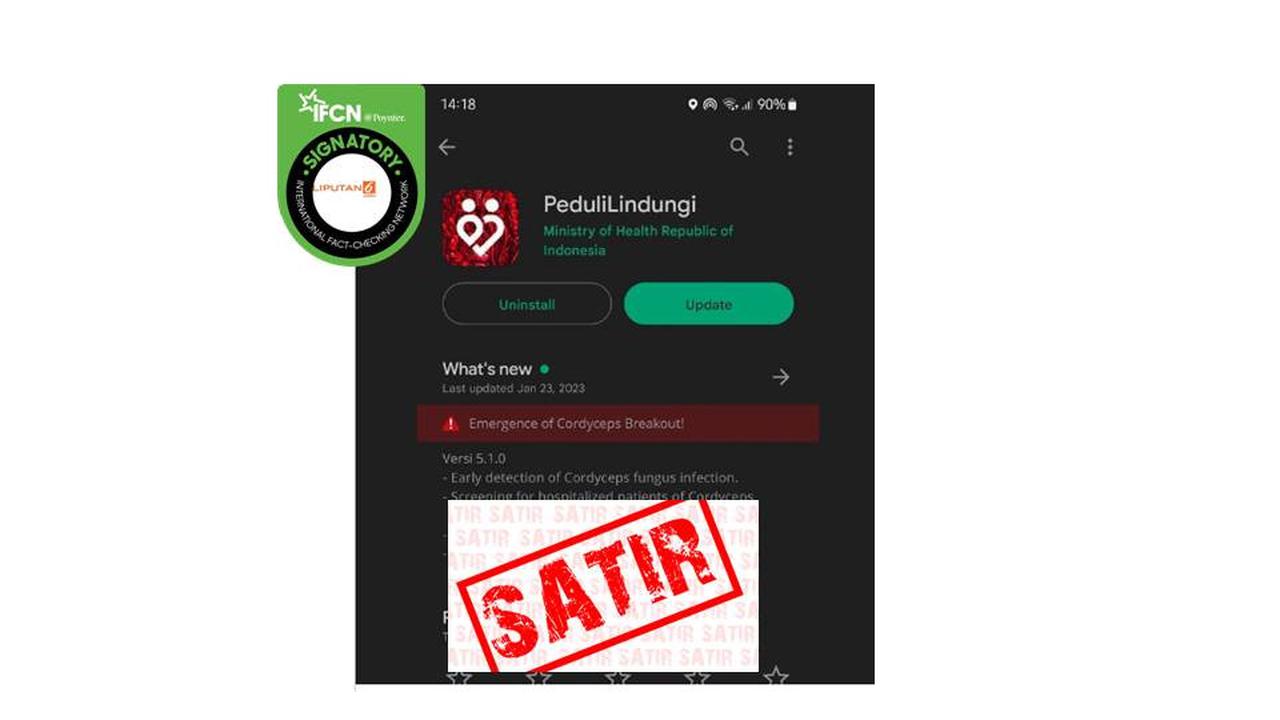 Deretan Hoaks Seputar Jamur yang Sempat Viral, Simak Faktanya