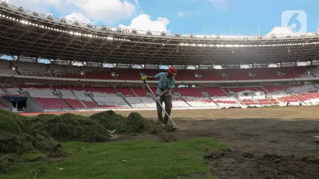 Dipakai Gelar Laga Timnas Indonesia vs Australia, PPKGBK Buka-bukaan soal Kondisi Rumput Stadion: Masih Pematangan - Bola berita69.org