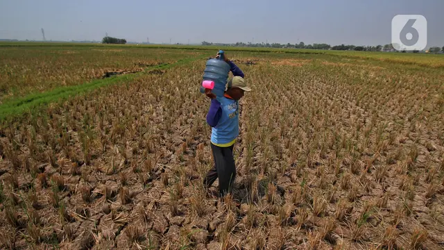 Dunia sedang Hadapi Situasi Polycrisis, Ancaman Nyata Buat Indonesia - News berita69.org
