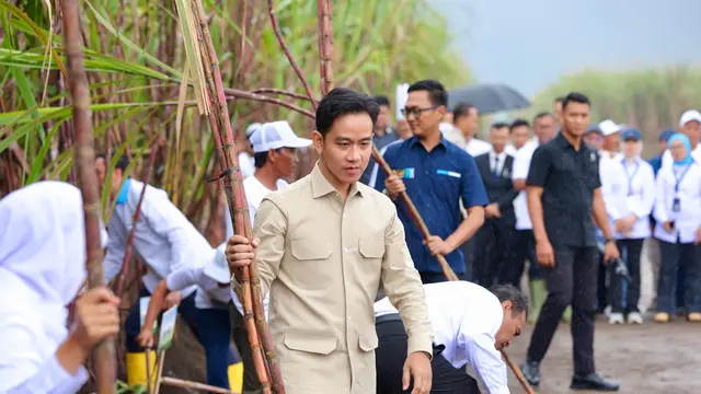 Gibran Klaim Kasus Karhutla Turun 85 Persen dalam 10 Tahun - News berita69.org