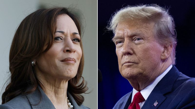 Apa hasil jajak pendapat mengenai pertarungan Trump vs Harris? | Politik berita
