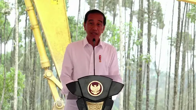 Jokowi Kembali Berkantor di IKN, Mulai Hari Ini hingga 19 Oktober 2024 - News berita69.org