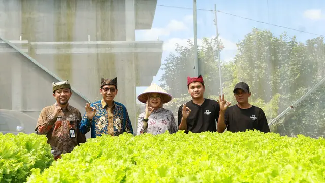 Kisah Saiful dan Ferdiansyah, Petani Muda Banyuwangi yang Panen Cuan dari Selada Hidroponik - News berita69.org