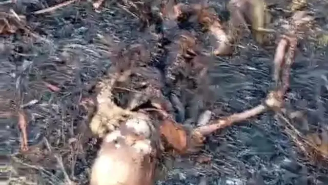 Terungkap Identitas Kerangka Manusia di Lahan Kosong Tambun Bekasi - News berita69.org