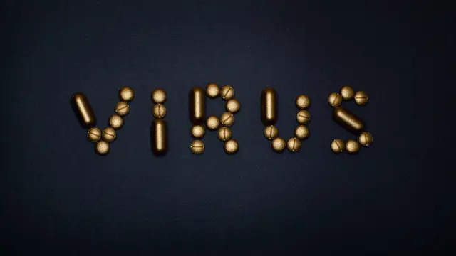 Virus Chandipura Tewaskan 38 Orang di India, Ini Asal-usul dan Gejalanya - Hot berita69.org